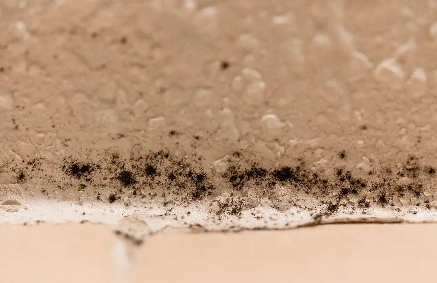 Moisissures noires à la jonction du mur et du plafond dans un logement humide